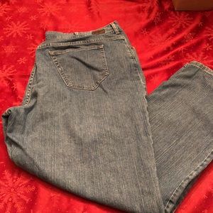 Plus Size Riders by Lee Jeans